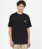 Dickies Summerdale Short Sleeve T-Shirt Black DK0A4YAIBLK1
