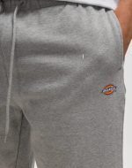DICKIES MAPLETON SHORTS GREY MELANGE DK0A4Y83GYM1 - Image 2