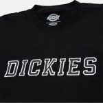 DICKIES MELVERN TEE BLACK DK0A4YK6BLK1 - Image 2