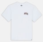 DICKIES AITKIN CHEST TEE WHITE/FIRED BRICK DK0A4Y8OG401 - Image 6
