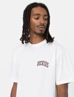DICKIES AITKIN CHEST TEE WHITE/FIRED BRICK DK0A4Y8OG401 - Image 2