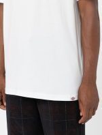 DICKIES AITKIN CHEST TEE WHITE/FIRED BRICK DK0A4Y8OG401 - Image 4