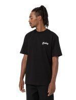 DICKIES DIGHTON TEE BLACK DK0A4YFEBLK1