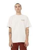 DICKIES WESTMORELAND TEE WHITE CAP GREY DK0A4YFMF901