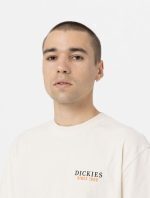 DICKIES WESTMORELAND TEE WHITE CAP GREY DK0A4YFMF901 - Image 3