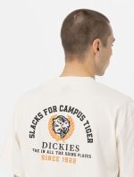 DICKIES WESTMORELAND TEE WHITE CAP GREY DK0A4YFMF901 - Image 2