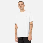 DICKIES HAYS TEE WHITE DK0A4YGGWHX1