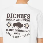 DICKIES HAYS TEE WHITE DK0A4YGGWHX1 - Image 2
