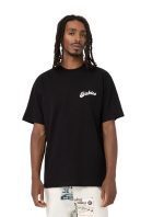 DICKIES GRAINFIELD TEE BLACK DK0A4YJYBLK1