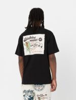 DICKIES GRAINFIELD TEE BLACK DK0A4YJYBLK1 - Image 3