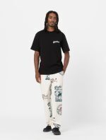 DICKIES GRAINFIELD TEE BLACK DK0A4YJYBLK1 - Image 4