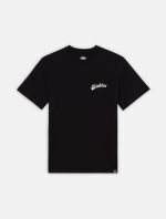 DICKIES GRAINFIELD TEE BLACK DK0A4YJYBLK1 - Image 6