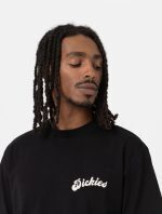 DICKIES GRAINFIELD TEE BLACK DK0A4YJYBLK1 - Image 5