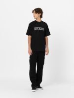 DICKIES MELVERN TEE BLACK DK0A4YK6BLK1 - Image 5