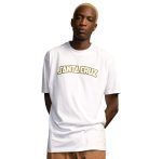 SANTA CRUZ ARCH STRIP T-SHIRT WHITE SCA-TEE-10096