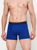 LEVIS STRIPED WB LOGO BOXER BRIEF 2-PACK BLUE COMBO 37149-0888 - Image 3
