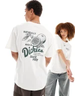 DICKIES RAVEN TEE CLOUD DK0A4YYMC581 - Image 2