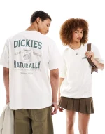 DICKIES ELLISTON TEE CLOUD DK0A4YRMC581 - Image 2