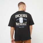 DICKIES ELLISTON TEE BLACK DK0A4YRMBLK1 - Image 3