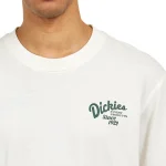 DICKIES RAVEN TEE CLOUD DK0A4YYMC581 - Image 3