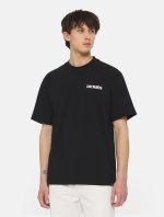 DICKIES HERNDON TEE BLACK DK0A4YR5BLK1