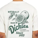 DICKIES RAVEN TEE CLOUD DK0A4YYMC581 - Image 4
