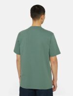 DICKIES ICON LOGO TEE DARK FOREST DK0A4XC9H151 - Image 6