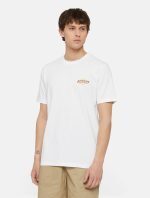 DICKIES RUSTON TEE WHT/PALE GREEN DK0A4XDCH801
