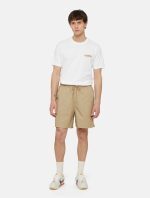 DICKIES RUSTON TEE WHT/PALE GREEN DK0A4XDCH801 - Image 4