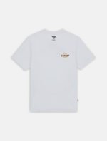 DICKIES RUSTON TEE WHT/PALE GREEN DK0A4XDCH801 - Image 6