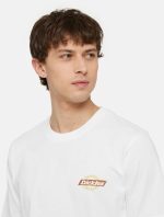 DICKIES RUSTON TEE WHT/PALE GREEN DK0A4XDCH801 - Image 3