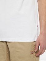DICKIES RUSTON TEE WHT/PALE GREEN DK0A4XDCH801 - Image 5