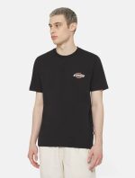 DICKIES RUSTON TEE BLK/MOCHA DK0A4XDCJ471