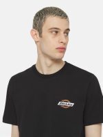DICKIES RUSTON TEE BLK/MOCHA DK0A4XDCJ471 - Image 3