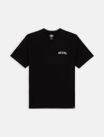 DICKIES ELLISTON TEE BLACK DK0A4YRMBLK1 - Image 4