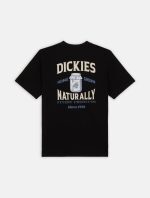 DICKIES ELLISTON TEE BLACK DK0A4YRMBLK1 - Image 5