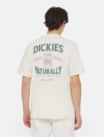 DICKIES ELLISTON TEE CLOUD DK0A4YRMC581 - Image 3