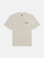 DICKIES ELLISTON TEE CLOUD DK0A4YRMC581 - Image 4