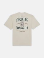 DICKIES ELLISTON TEE CLOUD DK0A4YRMC581 - Image 5