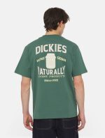 DICKIES ELLISTON TEE DARK FOREST DK0A4YRMH151 - Image 3
