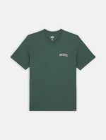 DICKIES ELLISTON TEE DARK FOREST DK0A4YRMH151 - Image 4