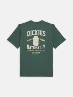 DICKIES ELLISTON TEE DARK FOREST DK0A4YRMH151 - Image 5