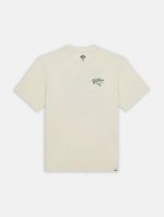 DICKIES RAVEN TEE CLOUD DK0A4YYMC581 - Image 8
