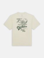 DICKIES RAVEN TEE CLOUD DK0A4YYMC581 - Image 9