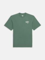 DICKIES RAVEN TEE DARK FOREST DK0A4YYMH151 - Image 3