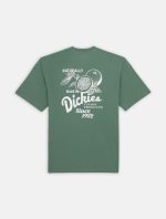 DICKIES RAVEN TEE DARK FOREST DK0A4YYMH151 - Image 5