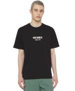 Dickies Max Meadows Short Sleeve T-Shirt DK0A4YRLBLK1