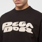 Pegador Drew Boxy Tee Washed Black Pg-3324-002-m-gr - Image 2