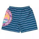 Santa Cruz Paradise Break Youth Swim Shorts sca-ysr-0194 - Image 3