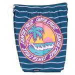 Santa Cruz Paradise Break Youth Swim Shorts sca-ysr-0194 - Image 2